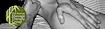 Serene Revolution Massage Therapy's Competitor - 12th Avenue Massage Therapy Group logo