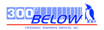 300 Below's logo 300 Below's Company logo