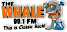 99.1 The Whale
