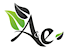 EnviroVantage's Competitor - A&E Environmental logo