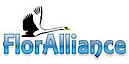 A Local Florist. Floralliance, The Mexican Local Florits You Can Trust