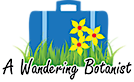 A Wandering Botanist