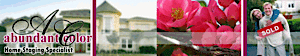 Abundantcolor's logo Abundantcolor's Company logo