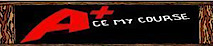 Ace My Course