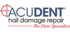 Acudent - Paintless Dent Repair