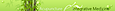 Acupuncture And Integrative Medicine