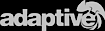 Paris Marketing's Competitor - Adaptiveims logo