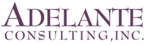 Adelante Consulting, Inc.