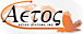 Aetos Systems's company profile