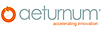 Tacit Knowledge's Competitor - Aeturnum logo
