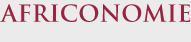 Africonomie's logo Africonomie's Company logo