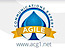 INTECSEA's Competitor - Agile Consultant Guide logo