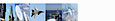 Agile Microwave Technology's company profile