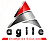 Agile Enterprise Solutions