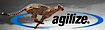 Agilize