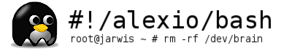 Alexiobash's logo Alexiobash's Company logo