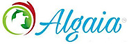 Algaia
