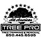 Tallahasseetreeremoval
