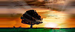 Essexifa's logo Essexifa's Company logo