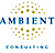 Ambient Consulting LLC's company profile