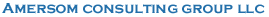 Amersom Consulting Group's logo Amersom Consulting Group's Company logo