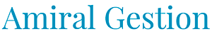 Amiral Gestion's logo Amiral Gestion's Company logo