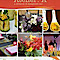 Anaphore Inc. Atelier. A
