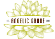 Angelic Grove's logo Angelic Grove's Company logo