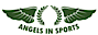 Angelsinsports