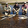 Angling Adventures Guide Service