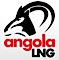 Angola LNG's company profile