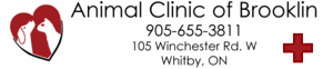 Animal Clinic Of Brooklin