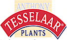 Anthony Tesselaar Plants's logo Anthony Tesselaar Plants's Company logo