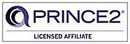 Ants Projects Princ's logo Ants Projects Princ's Company logo
