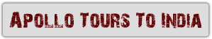 Apollo Tours To India's logo Apollo Tours To India's Company logo
