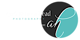 April Hollingshead Photography's logo April Hollingshead Photography's Company logo