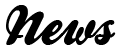 Ara Academy