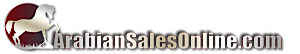 Arabiansalesonline's logo Arabiansalesonline's Company logo