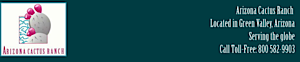 Arizonacactusranch