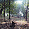 Around-pune