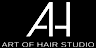 Art Of Hair Studio