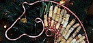 Artisan Horse's logo Artisan Horse's Company logo
