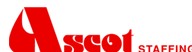Ascotstaffing