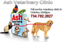 Ash Veterinary Clinic's logo Ash Veterinary Clinic's Company logo
