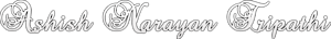 Ashish Narayan Tripathi's logo Ashish Narayan Tripathi's Company logo