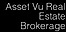 Assetvu