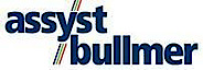 Assyst Bullmer - Web