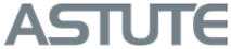 Astute Electronics Ltd