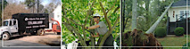 Atlanta Tree Services's logo Atlanta Tree Services's Company logo