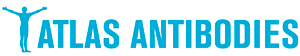 Atlas Antibodies